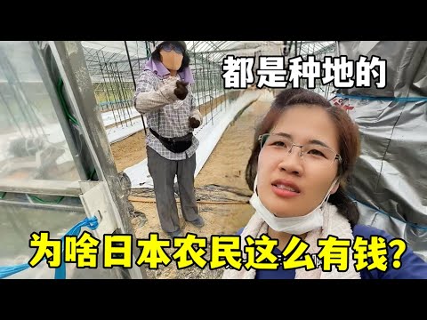 维金斯砍下,篮板,盖帽,亚博,亚博体育,YaBo,亚博体育官网
