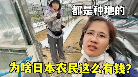 维金斯砍下23分4篮板3盖帽，李凯尔替补贡献14分助威